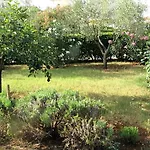 Vienna Apartamento Novigrad Istria