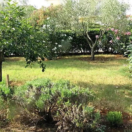 Vienna Apartment Novigrad (Istria)