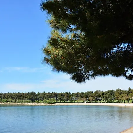 Apartment Vienna Novigrad (Istria)