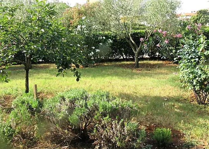 Vienna Lejlighed Novigrad Istria